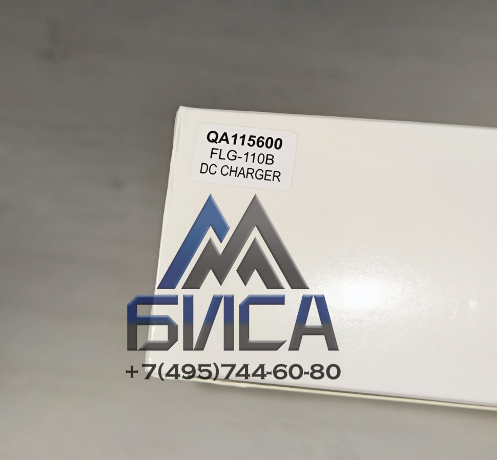 Зарядное устройство (длинные АКБ) HBC Radiomatic 100-240V QA115600