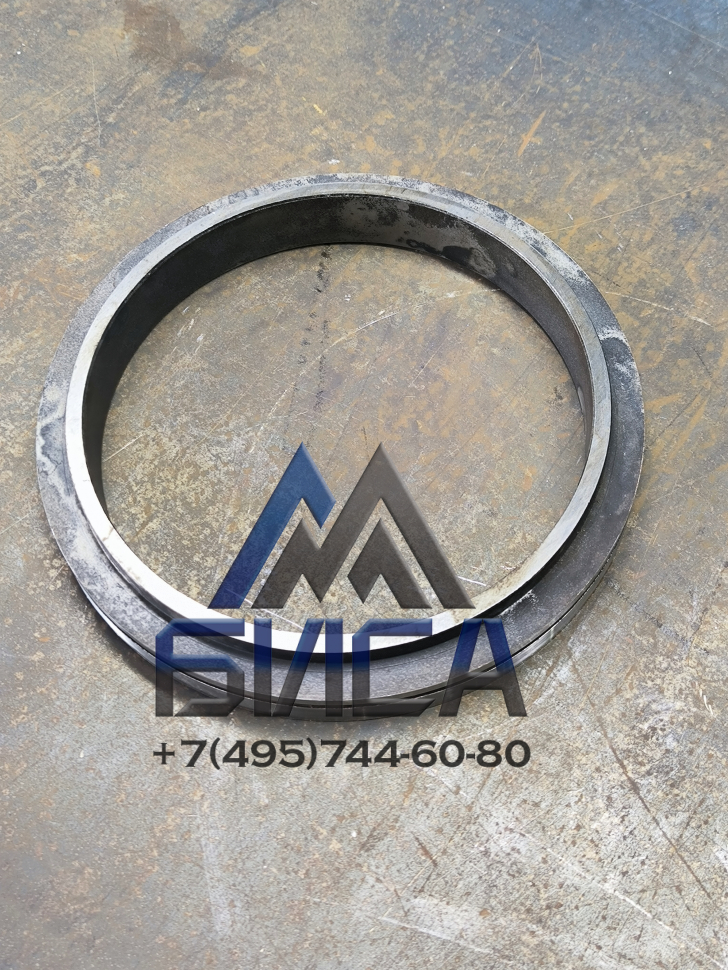 Кольцо шиберное ВТ 217x20 WAITZINGER