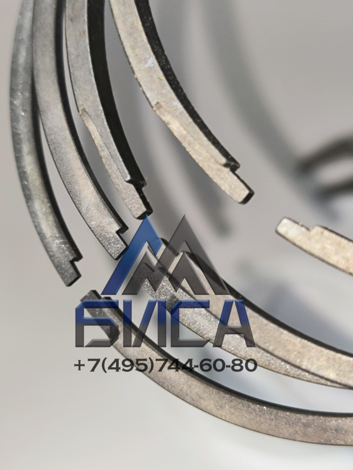 Комплект поршневых колец подающего гидроцилиндра 1400-110/63  PUTZMEISTER